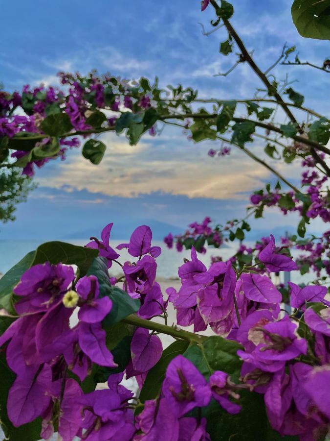 Du Lac Aparments Desenzano del Garda Exteriér fotografie